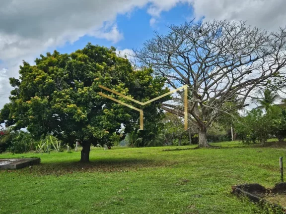Imagem Sítio ideal para quem quer investir ou desfrutar de um lugar em contato com a natureza!