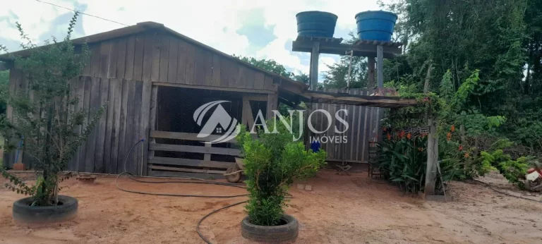 Imagem OPORTUNIDADE PARA VOCÊ QUE BUSCA COMPRAR SUA CHACARA, SINOP - MT