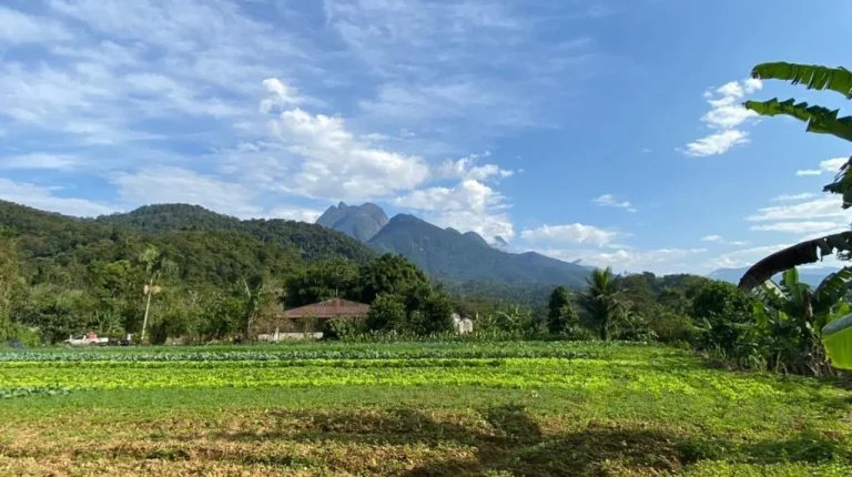 Imagem Chácara para Venda em Antonina, Cachoeira, 3 dormitórios, 1 banheiro