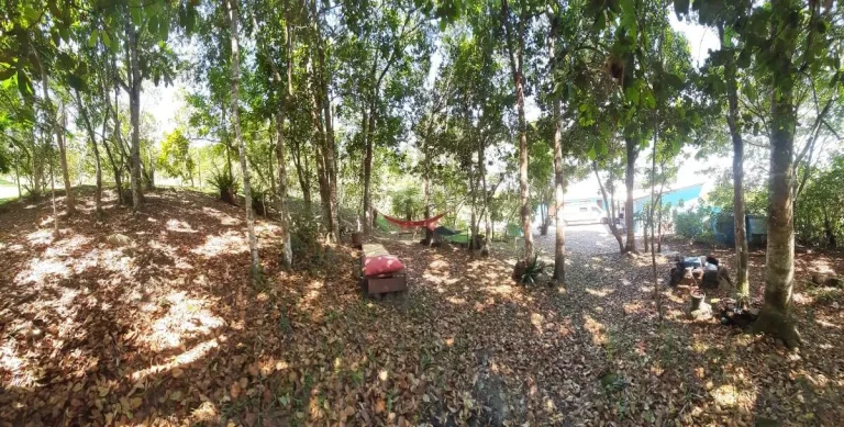 Imagem Sítio - Pronto para morar Vargem Pequena - Florianópolis/SC