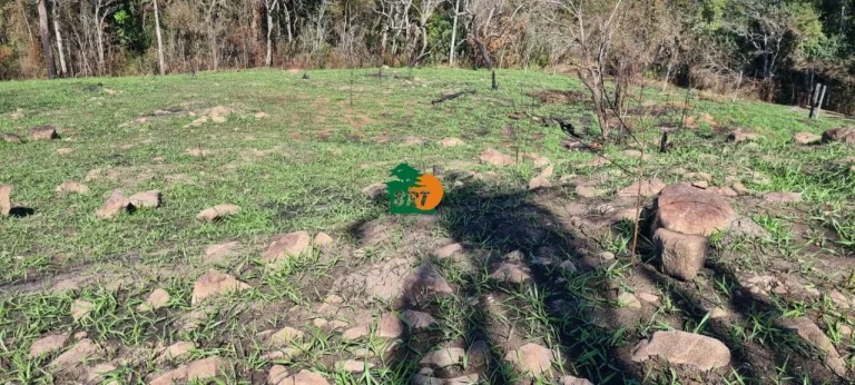 Imagem Chácara para Venda em São Roque, Centro (canguera), 3 dormitórios, 2 suítes, 1 banheiro