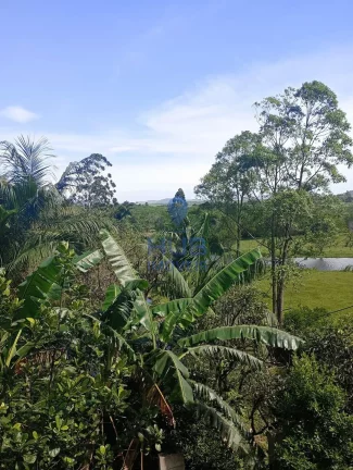 Imagem Terreno padrão à Venda, Garopaba, Garopaba, SC