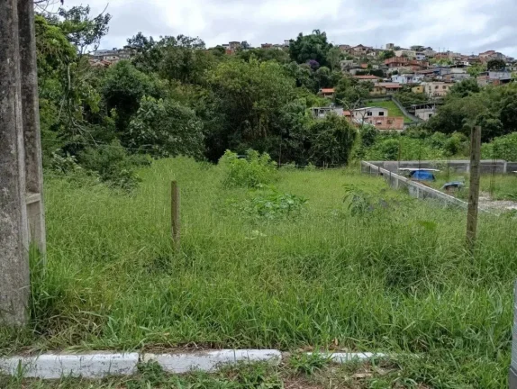 Imagem Ótimo Lote em Barbacena - Situado na chácara das boas esperanças!