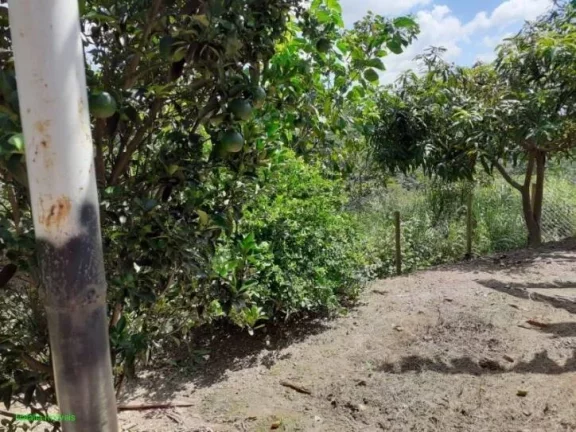 Imagem EXCELENTE CASA A VENDA EM JUATUBA!