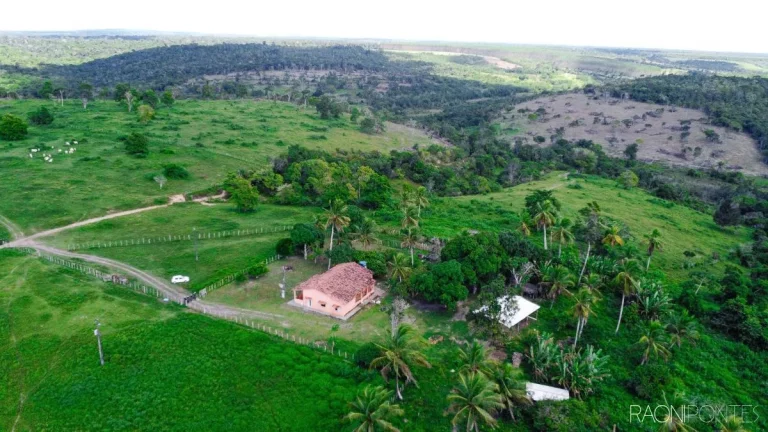 Imagem Fazenda à Venda, 7.140.000 m² em Zona Rural - Cardeal Da Silva