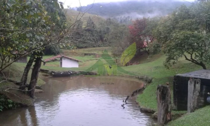 Imagem Sitio de Encanto em Piracaia - 11 Alqueires a Poucos Passos da Natureza