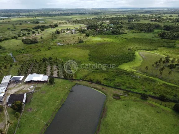 Imagem ÁREA Á VENDA EM NISIA FLORESTA
