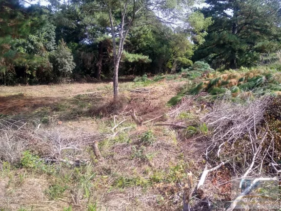 Imagem Terreno para Venda em São José dos Pinhais, Inhoaiva