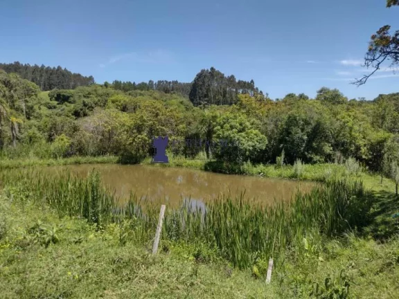 Imagem CHÁCARA COM 143.897M² NA REGIÃO DE BALSA NOVA