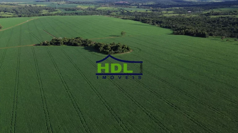 Imagem Fazenda 70 Alqs Dupla Aptidão plantada em Soja em Bela Vista GO