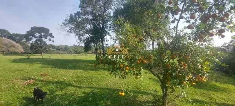 Imagem Chácara - Sítio com 4 Dormitorio(s) localizado(a) no bairro Rodeio Bonito em Três Coroas / RIO GRANDE DO SUL Ref.:1541