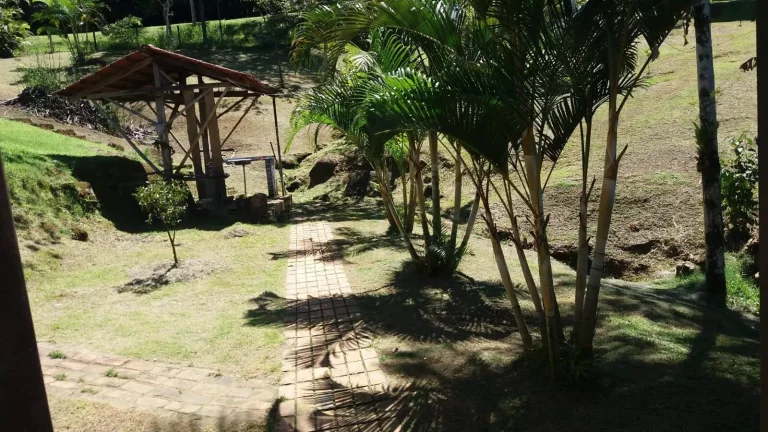 Imagem Chácara na Serra da Graciosa em frente ao Asfalto - Antonina - R$900mil