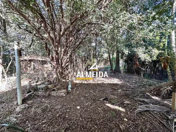 Imagem Chácara com 3 dormitórios à venda, 3618 m² por R$ 3.500.000,00 - Estádio - Rio Claro/SP