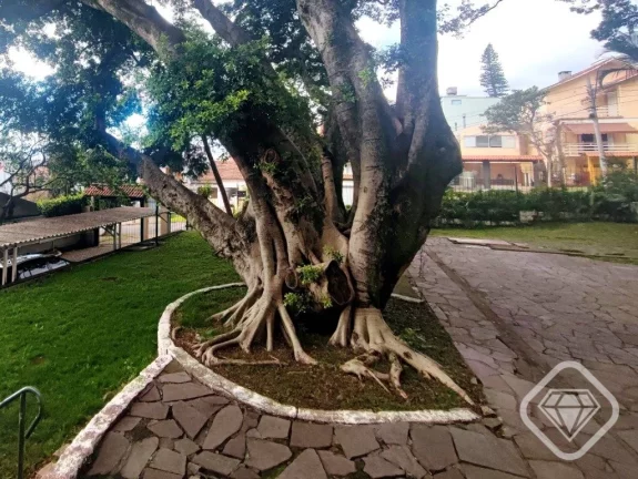 Imagem Apartamento reformado, 2 dormitórios, 2 banheiros, sacada e garagem escriturada, Bairro Tristeza.

...