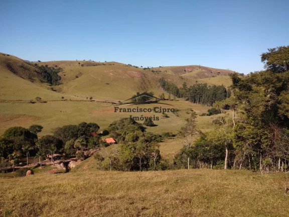 Imagem Fazenda à venda no bairro Macacos - Silveiras/SP