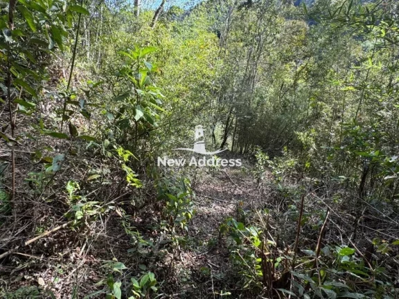 Imagem Terreno com nascente à venda em Soído de Cima - Domingos Martins
