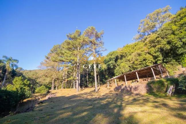 Imagem Chácara - Sítio com 3 Dormitorio(s) localizado(a) no bairro Zona Rural em Morro Reuter / RIO GRANDE DO SUL Ref.:1544