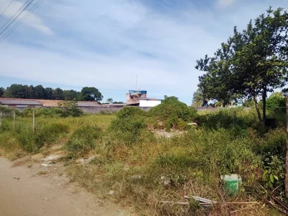 Imagem PIÚMA | Nova Esperança | Área de 3.100 m² plana