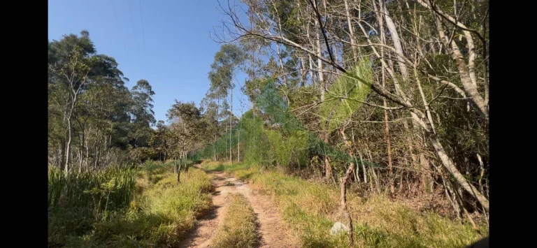 Imagem Sítio em Atibaia – Itapetinga | 15 Alqueires Melhor valor por m² da região