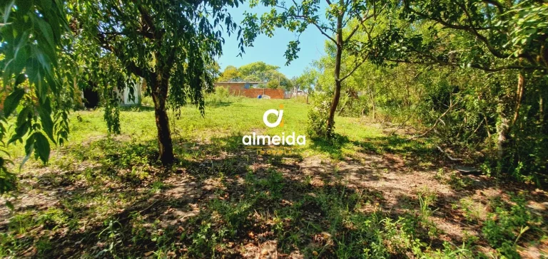 Imagem BELA AREA A VENDA