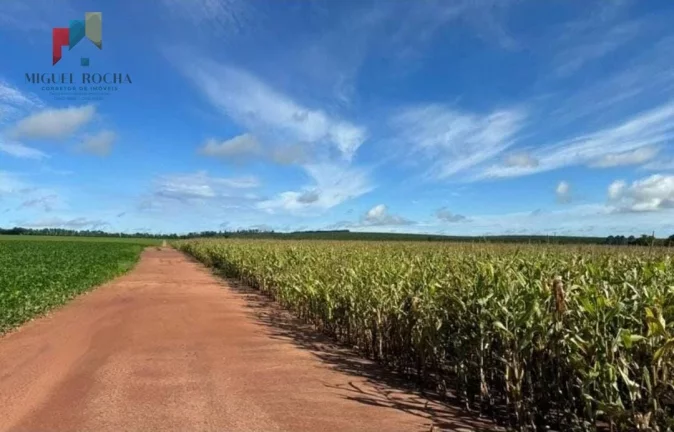 Imagem Fazenda região de Avaré SP
