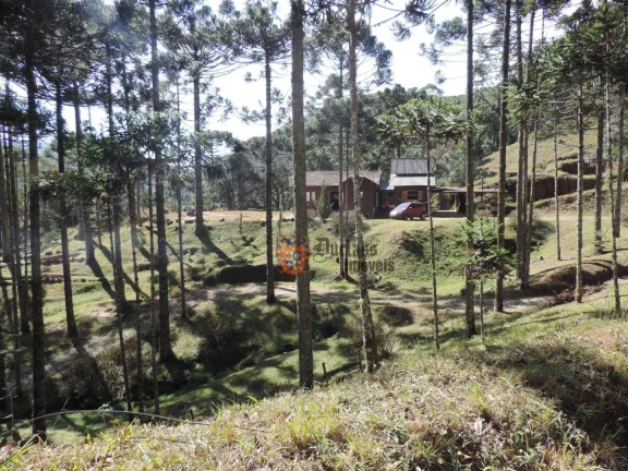 Imagem Sítio com 2 dormitórios à venda, 1000000 m² por R$ 28.000.000,00 - Dos Marmelos - Campos do Jordão/SP