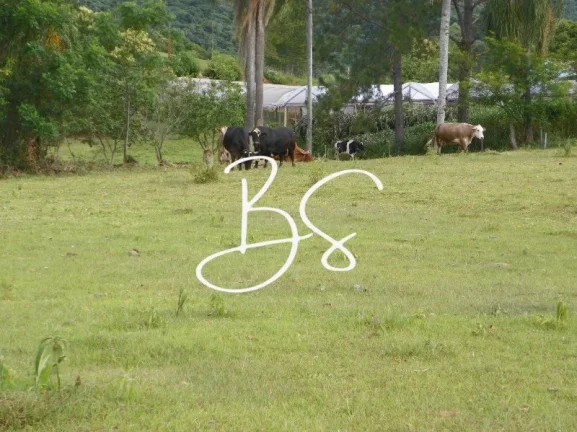 Imagem SITIO RURAL em NOVA PETRÓPOLIS - RS, Linha Temerária