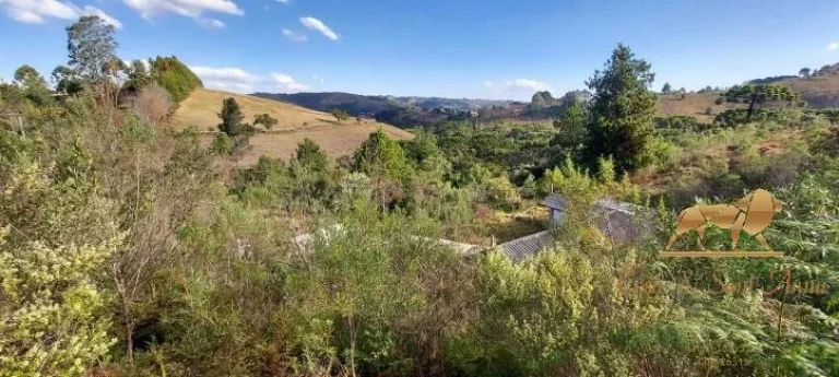 Imagem Lote com vista permanente