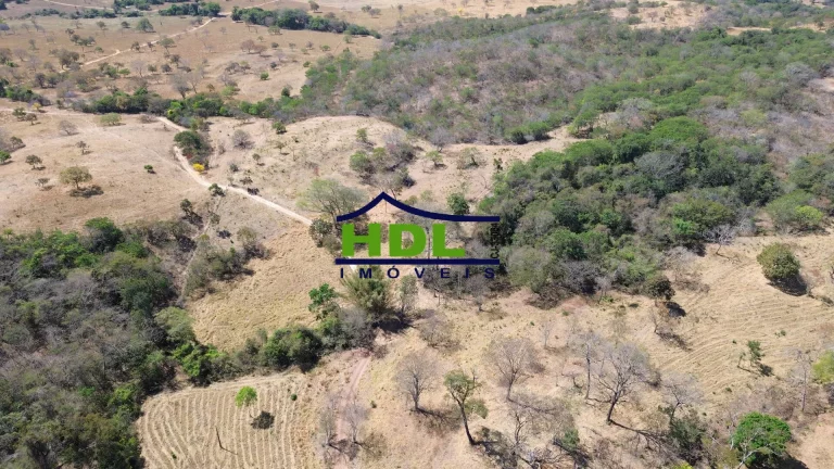 Imagem Fazenda 19 Alqs para Cria em Hidrolândia/GO