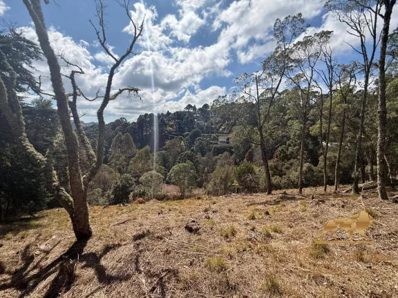 Imagem Terreno á venda em Campos do Jordão-SP