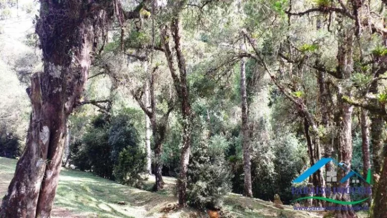 Imagem Paraíso Rural na Serra da Mantiqueira: Rancho com Vista Deslumbrante.