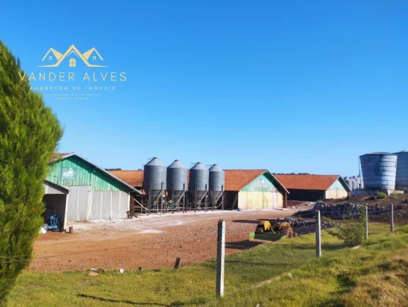 Imagem SITIO COMERCIAL em MARECHAL CÂNDIDO RONDON - PR, Zona rural