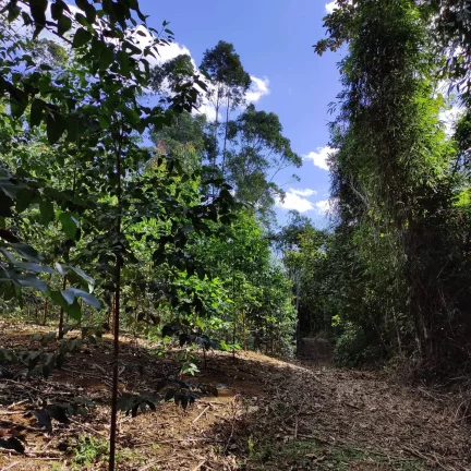 Imagem Área Rural, Terreno Rural, Chácara, Sítio, Pirabeiraba