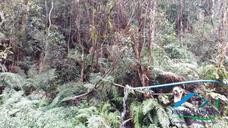 Imagem Paraíso Ecológico na Serra da Mantiqueira: Fazenda com 38,72 hectares!