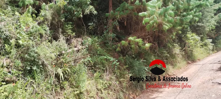 Imagem Terreno a Venda na Região do Villa inglesa em Campos do Jordão -SP.