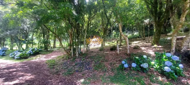 Imagem Chácara - Sítio com 2 Dormitorio(s) localizado(a) no bairro Carapina em São Francisco de Paula / RIO GRANDE DO SUL Ref.:1537