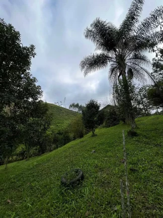 Imagem Sítio com 6 Hectares em Nova Trento