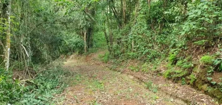 Imagem Sítio à venda em Piedade-SP, bairro Piedade, com 0,01 m² de área: oportunidade imperdível!