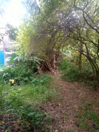Imagem Terreno para alugar, 350 m² por R$ 2.000,00/mês - Vila do Americano - Ferraz de Vasconcelos/SP
