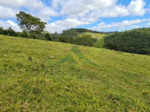 Imagem Belíssimo sítio á venda localizada na cidade de Piracaia