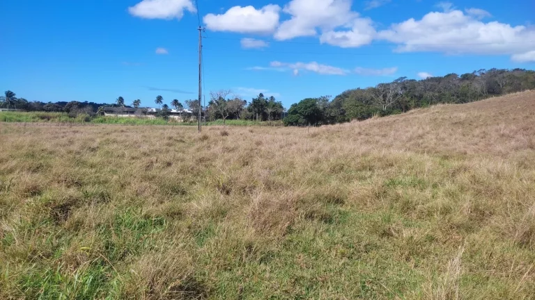 Imagem AREA RURAL em GUARAPARI - ES, COMUNIDADE URBANA DE SAMAMBAIA