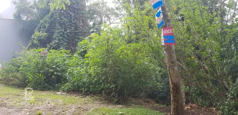Imagem "Oportunidade única: Terreno de 2.000 m² no Condomínio Alpes da Cantareira com vista deslumbrante entre as montanhas!"