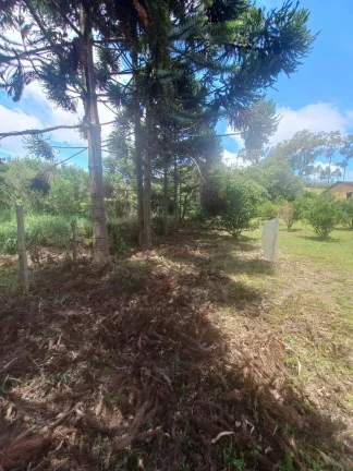 Imagem Terreno de 6.000m2 à Venda na BR-040 – Ideal para Investimentos