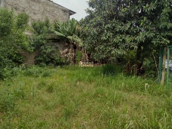 Imagem Terreno com 3 Dormitorio(s) localizado(a) no bairro Sumaré em ALVORADA / Rio Grande do Sul Ref.:57580132