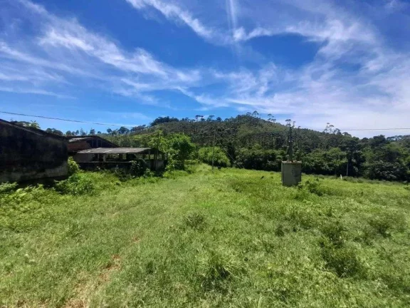Imagem Fazenda à venda em Barbacena, Correia de Almeida, com 4 quartos, 53ha