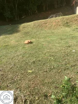 Imagem Terreno em Condomínio de imóveis de alto padrão / Sao Paulo, zona norte, localizado no Jardim Itatinga ( Região do Horto florestal )