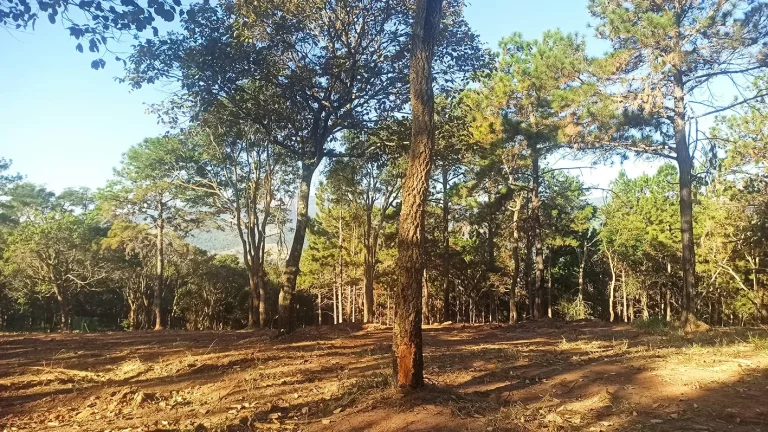 Imagem Condomínio de Chácaras Fazenda Elisa – Atibaia