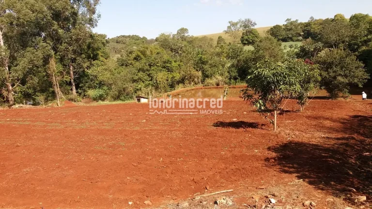 Imagem Chácara à venda 5800M², Zona Rural, Warta - PR