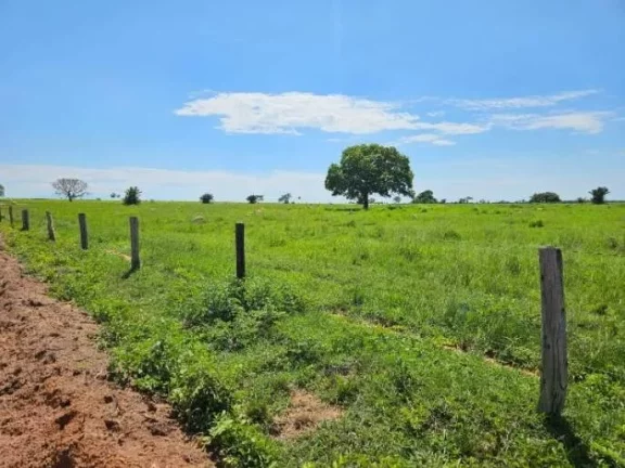 Imagem Oportunidade Única: Fazenda Espetacular à Venda! Mundo Novo GO.