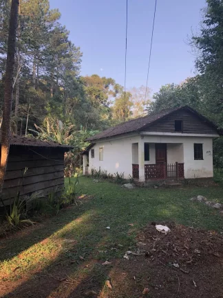 Imagem Fazenda de Morangos com 180 ha em Nova Friburgo - RJ